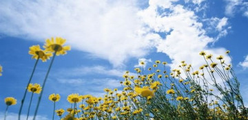 Weather forecast for weekend in Azerbaijan announced