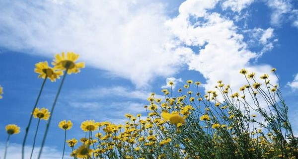 Weather forecast for weekend in Azerbaijan announced