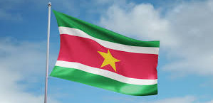 Azerbaijan, Surinam discuss cooperation
