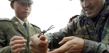 Chinese troops set to patrol remote border area after India standoff