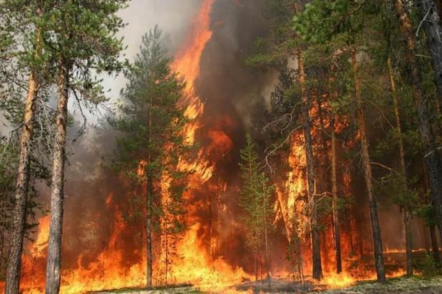 Fire spreads to Shahdag National Park