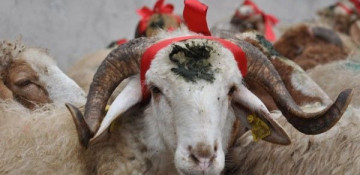 Holiday fairs open in Baku