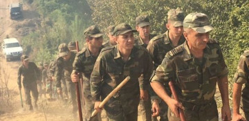 Operation underway to extinguish forest fire in Azerbaijan's Gabala