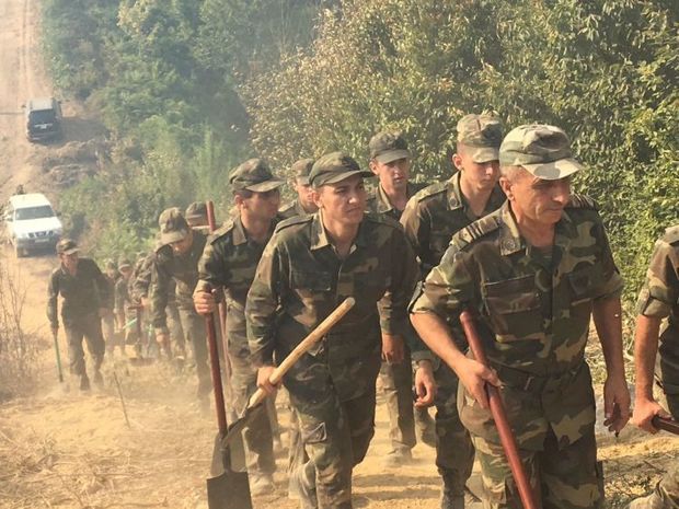 Operation underway to extinguish forest fire in Azerbaijan's Gabala