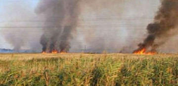 Armenians again set fire to occupied Azerbaijani territories