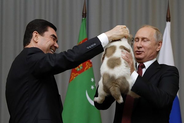Turkmen President gives Putin alabai puppy as birthday gift