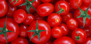 Russia to eliminate tomatoes shortage in 5 years - agriculture ministry