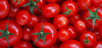 Russia to eliminate tomatoes shortage in 5 years - agriculture ministry