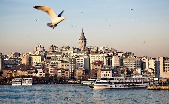 Turkey set to host ninth D-8 summit in Istanbul