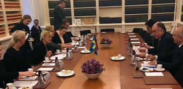 Azerbaijan, Sweden discuss how to develop cooperation between parliaments