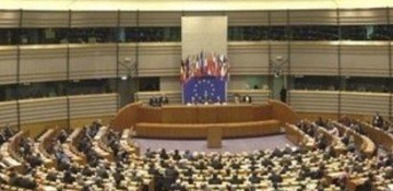 Armenian MP resorts to provocation at Euronest PA committee meeting