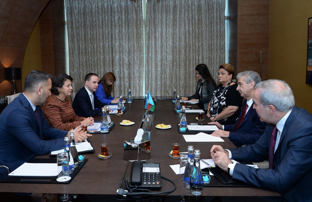 Azerbaijan, UNICEF discuss cooperation
