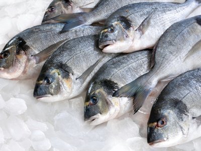 Russia bans 700-kilo fish and seafood supplies to Armenia