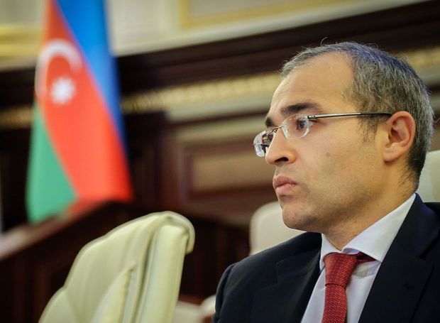 Azerbaijan-Japan trade turnover growing steadily: minister of taxes