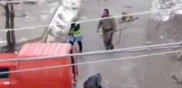 Armenia’s police support gunning down of stray dogs, animal lovers claim