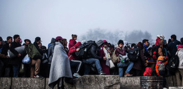 Half as many migrants landed in Europe in 2017 as 2016: IOM