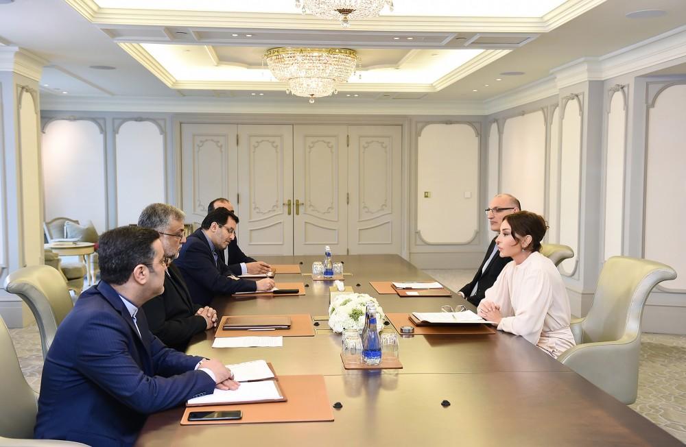 Mehriban Aliyeva meets with head of Iran's Islamic Culture and Relations Organization