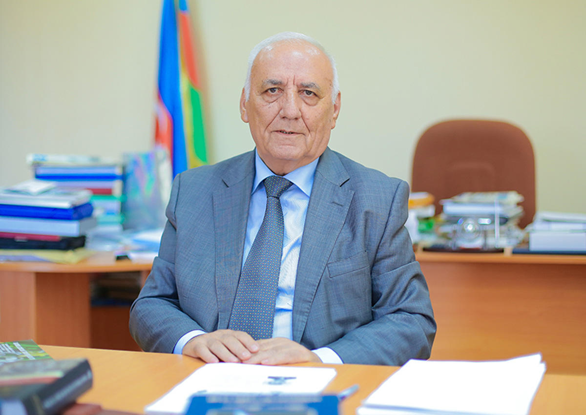 Azerbaijani academician: Armenians - newcomers on Asian continent