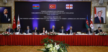 Turkey pleased for Azeri, Georgian support against FETO