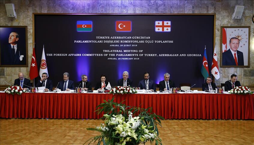 Turkey pleased for Azeri, Georgian support against FETO