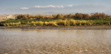 Envoy: Armenia's polluting Araz River damages ecosystems of Azerbaijan, Iran