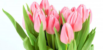 Today marks International Women’s Day