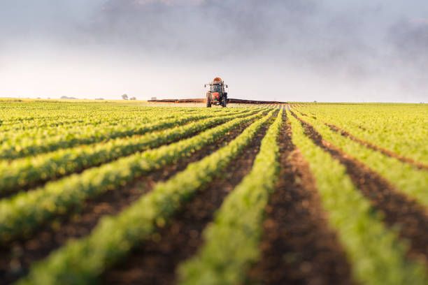 Azerbaijan increased export of farm products by 40% in 2017