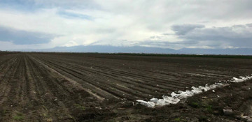 A number of villages in Armenia deprived of irrigation water
