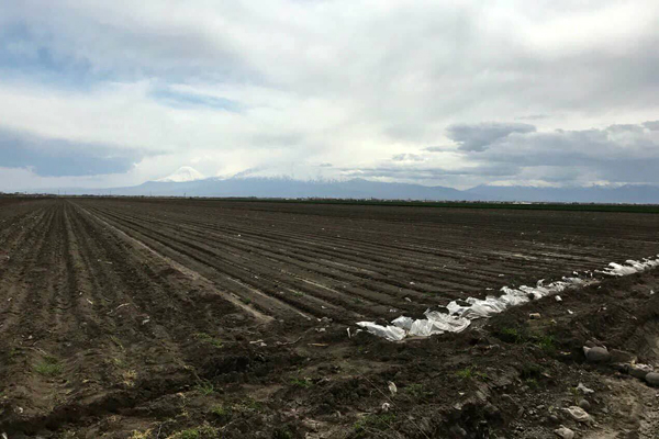 A number of villages in Armenia deprived of irrigation water