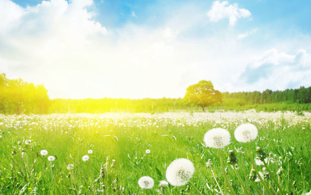 Temperature to be 20 C in Baku tomorrow