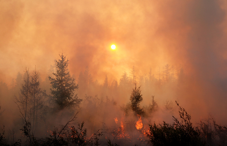 Wildfires engulf over 74,000 hectares in Russia’s regions