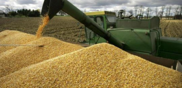 Azerbaijan’s Food Safety Agency to control quality of salt, grain