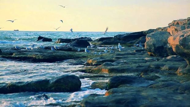 Earthquake occurs in Caspian Sea