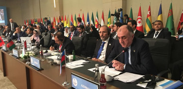 FM Elmar Mammadyarov makes statement at OIC Extraordinary Islamic Summit Conference in Istanbul