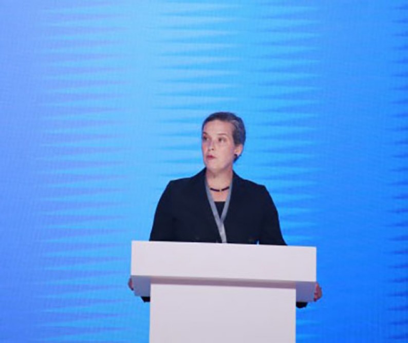 US strongly backs TANAP for energy sec.: US Official