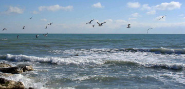 Caspian littoral states to assess impact of economic activity in Caspian basin on ecology