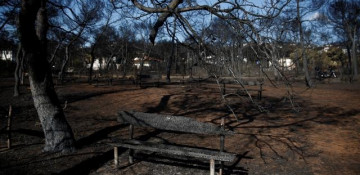 Greek PM takes responsibility for wildfire as criticism mounts