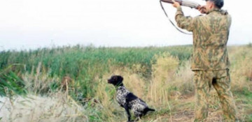 Regular raids conducted to prevent illegal hunting