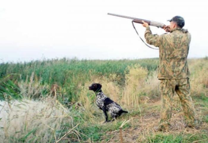 Regular raids conducted to prevent illegal hunting