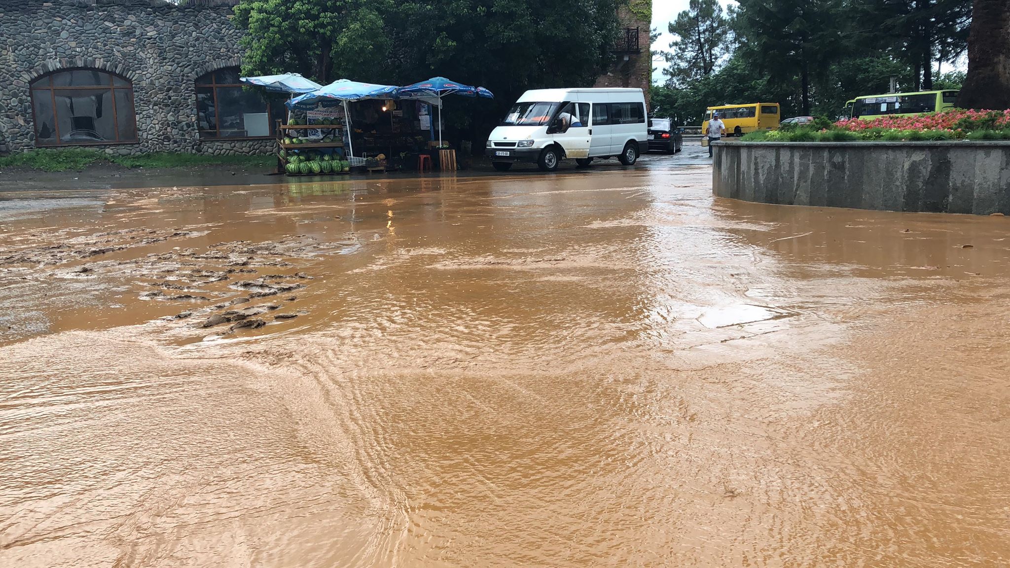 Georgia's Adjara and Samegrelo regions flooded