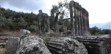 Turkey's ancient city Euromos eyes UNESCO list