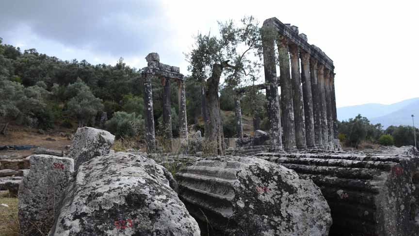 Turkey's ancient city Euromos eyes UNESCO list