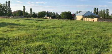 Azerbaijan’s State Property Issues Committee to control land plots via satellite system