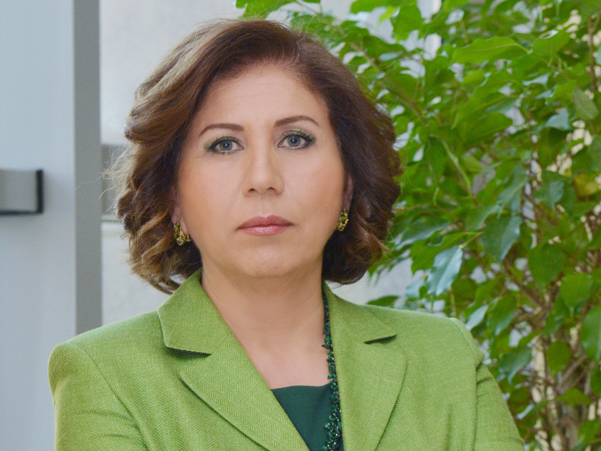 MP: Azerbaijan wants to see adequate Armenian representative in settlement of Karabakh conflict