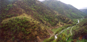 Azerbaijan Foreign Ministry talks creation of Sydney settlement in occupied Kalbajar