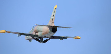 Body parts found at L-39 crash site in Sea of Azov, says source