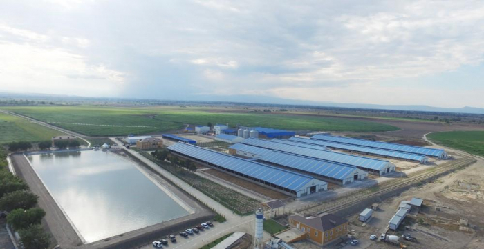 Official: By end of 2018, 13 more agroparks to open in Azerbaijan