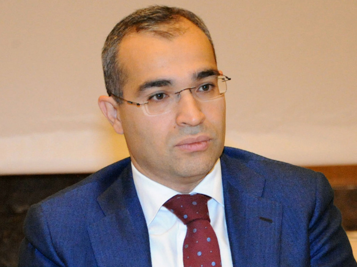 Tangible tax breaks needed for transparency in labor market: Azerbaijani minister