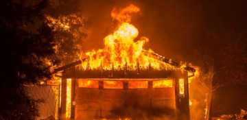 Death toll rises to 31 in California wildfire, 228 still missing