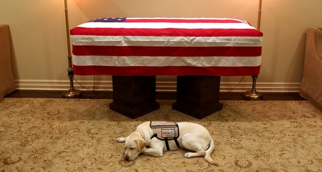 Sully the service dog accompanies late president Bush on final farewell